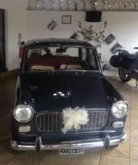 Fiat 1100 D