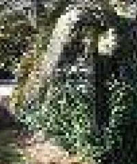 Vendo villetta a schiera su 2 livelli in localita laghi di S