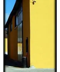 Affitto capannoni