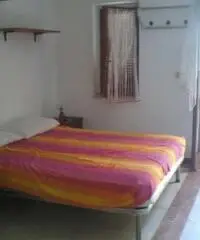 Belle casette x lestate