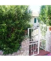 Villa in Affitto 120mq