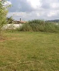 GIOIA TAURO VENDE: Terreno agricolo zona lungomare sud