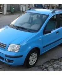 FIAT Panda 1.2 Dynamic rif. 7162248 FIAT Panda 1.2 Dynamic rif. 7162248