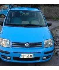 FIAT Panda 1.2 Dynamic rif. 7162248 FIAT Panda 1.2 Dynamic rif. 7162248