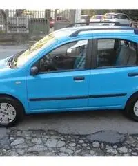 FIAT Panda 1.2 Dynamic rif. 7162248 FIAT Panda 1.2 Dynamic rif. 7162248