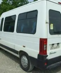 FIAT Ducato PASSO MEDIO TETTO ALTO - TRASPORTO DISABILI  rif. 5417880 FIAT Ducato PASSO MEDIO TETTO ALTO - TRASPORTO DISABILI  rif. 5417880