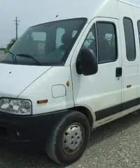 FIAT Ducato PASSO MEDIO TETTO ALTO - TRASPORTO DISABILI  rif. 5417880