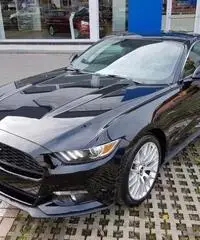 FORD Mustang Fastback 2.3 EcoBoost Manuale MY2017 NUOVA rif. 7184616 FORD Mustang Fastback 2.3 EcoBoost Manuale MY2017 NUOVA rif. 7184616