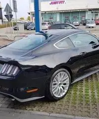 FORD Mustang Fastback 2.3 EcoBoost Manuale MY2017 NUOVA rif. 7184616 FORD Mustang Fastback 2.3 EcoBoost Manuale MY2017 NUOVA rif. 7184616