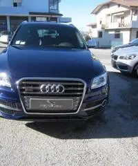 AUDI SQ5 3.0 V6 TDI Biturbo quattro tiptronic rif. 6480912 AUDI SQ5 3.0 V6 TDI Biturbo quattro tiptronic rif. 6480912