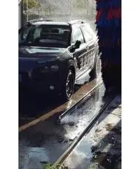 C4 cactus permuto
