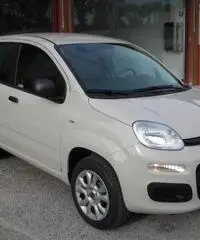 FIAT Panda 1.2 Easy rif. 5989996 FIAT Panda 1.2 Easy rif. 5989996