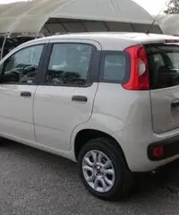 FIAT Panda 1.2 Easy rif. 5989996 FIAT Panda 1.2 Easy rif. 5989996
