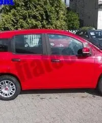 FIAT Panda 1.2 Pandazzurri rif. 6615248