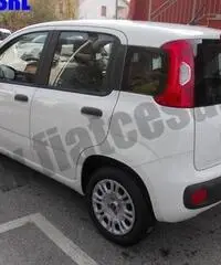 FIAT Panda 1.3 MJT 95 CV S&S Easy rif. 7084153
