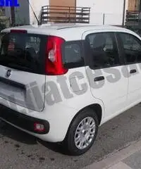 FIAT Panda 1.3 MJT 95 CV S&S Easy rif. 7084152