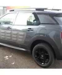 cactus Km0