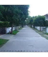 NICOTERA MARE NICOTERA MARE