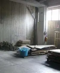 Capannone zona paip 1