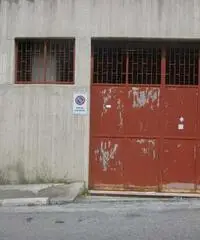 Capannone zona paip 1