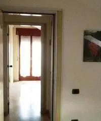 Potenza Affitto Appartamento