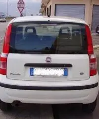 FIAT Panda 1.2 Active rif. 7196879