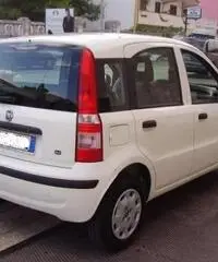 FIAT Panda 1.2 Active rif. 7196879