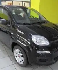 FIAT Panda 1.2 Easy rif. 7196249