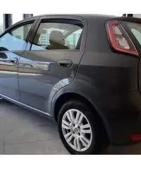 Fiat Punto 1.2 8V 5P. Lounge