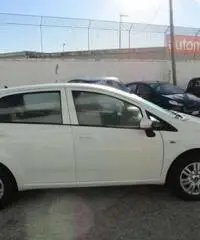 FIAT Punto 1.3 MJT II S&S 95 CV 5 porte Lounge rif. 7193110