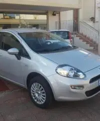 FIAT Punto 1.4 8V 5 porte Natural Power Easy rif. 7196889