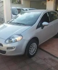 FIAT Punto 1.4 8V 5 porte Natural Power Easy rif. 7196889