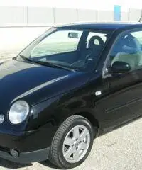 VOLKSWAGEN Lupo 1.4 TDI cat Highline Air VOLKSWAGEN Lupo 1.4 TDI cat Highline Air