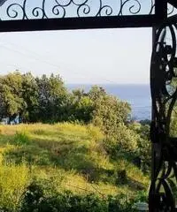 Villa a San Giovanni a Piro