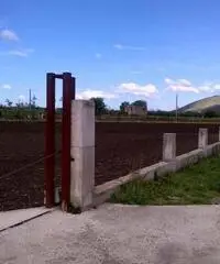 Terreno in Vendita 10000mq Terreno in Vendita 10000mq