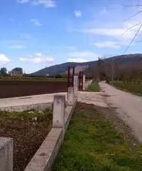 Terreno in Vendita 10000mq Terreno in Vendita 10000mq
