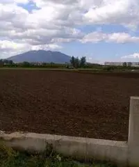 Terreno in Vendita 10000mq Terreno in Vendita 10000mq