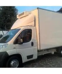 FIAT Ducato FRIGO CON DIVISORIO