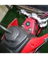 Mini Cross RACING 49 cc R10