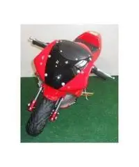 MINIMOTO GP1 49 cc