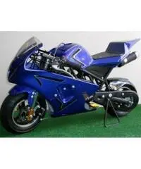 MINIMOTO GP2 49cc