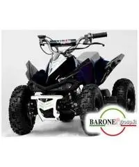 Miniquad Monster 50cc E-Start R6