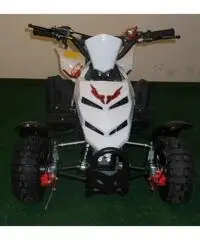 MINIQUAD RAPTOR 49cc R4 MINIQUAD RAPTOR 49cc R4
