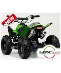 Miniquad Raptor Big 50cc E-Start R6