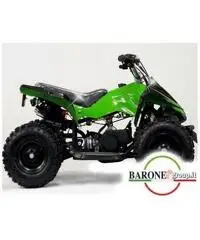 Miniquad Raptor Big 50cc E-Start R6