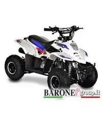 New Quad Bamboo 50cc