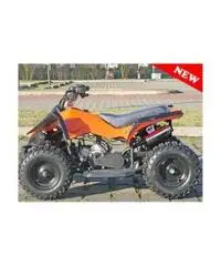 QUAD Monster R4
