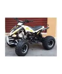 QUAD MONSTER R7