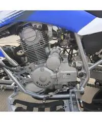 QUAD PANTERA ATV 250CC R10