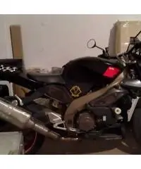 APRILIA TUONO 1000 FIGHTER APRILIA TUONO 1000 FIGHTER